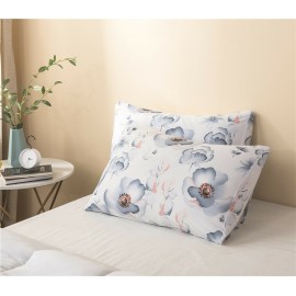 2/3Pcs Quilt Home Textile Brushed Printing Kit Duvet Cover Bedding