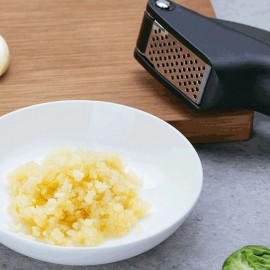 Kitchen Garlic Presser Manual Garlic Crusher Kitchen Tool Micer Cutter Squeeze Tool